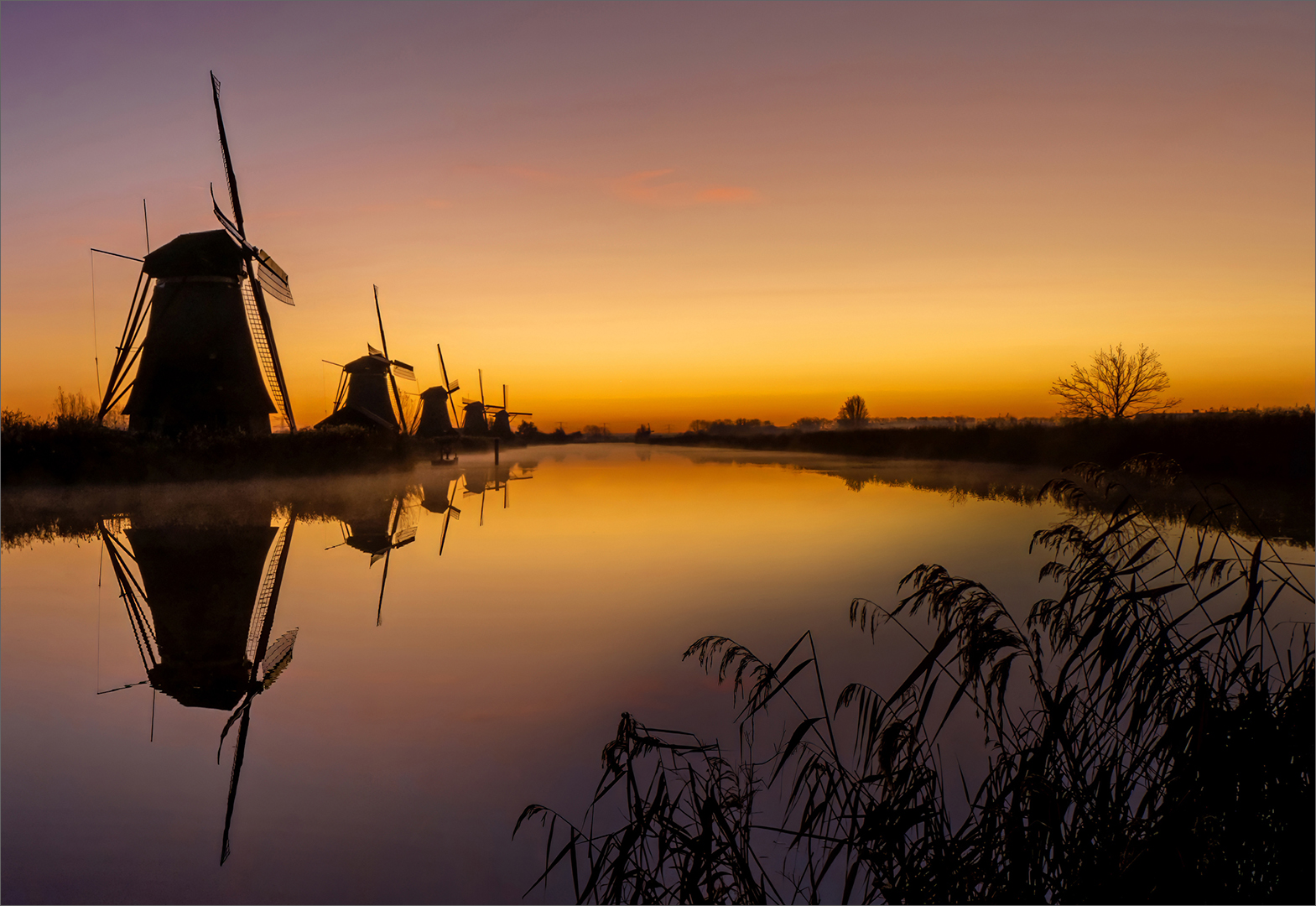 As the Sun Creeps in to Awaken the Day - Scapes - Cynthia Uren - 1st Place