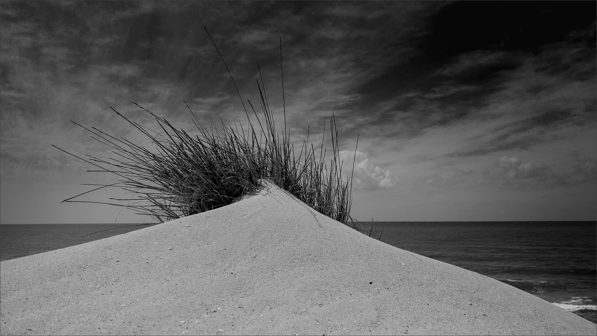 Windswept - Junior Scapes - Ralph Resnik