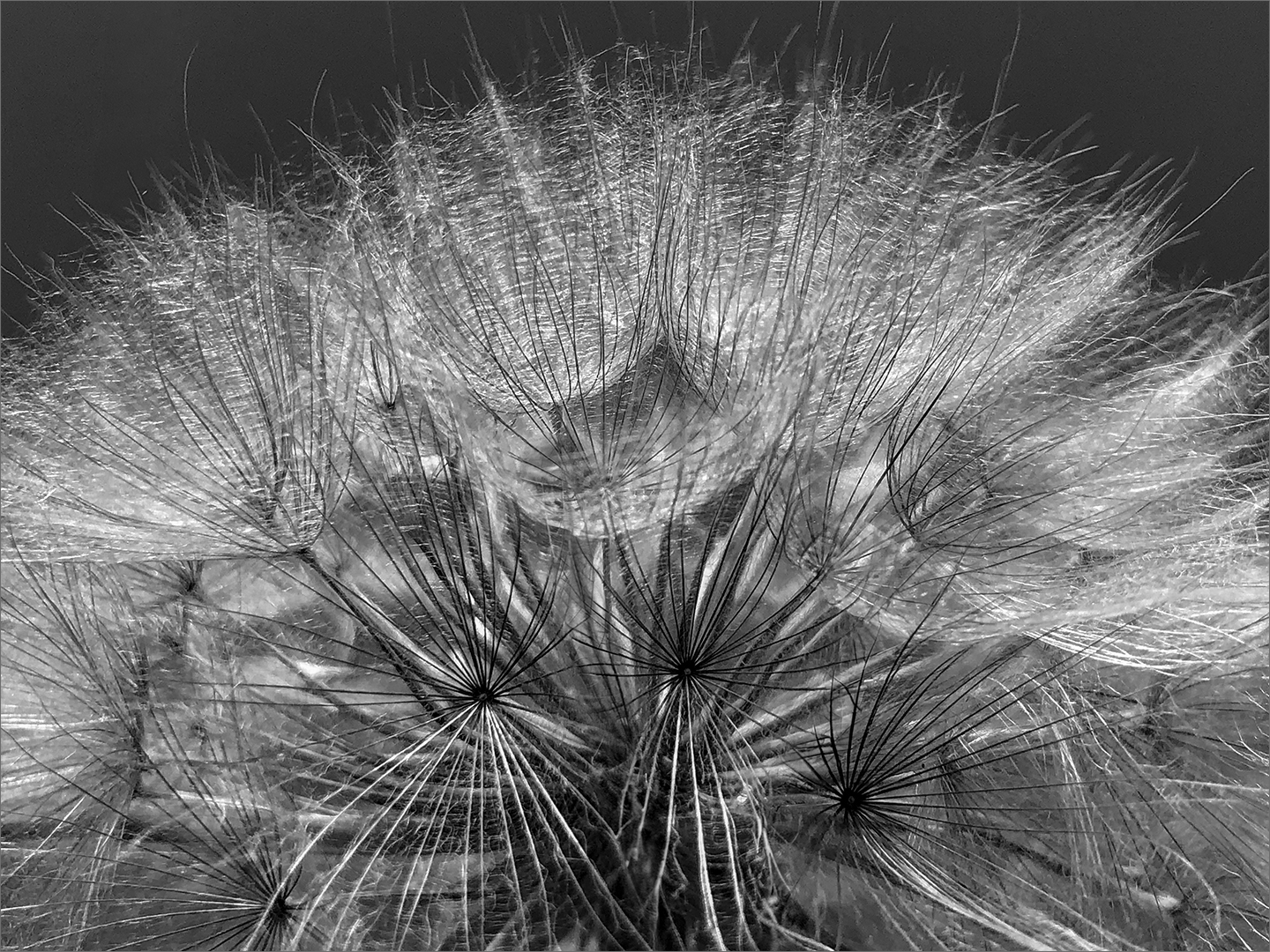 Sun Kissed - Junior Macro - Ralph Resnik