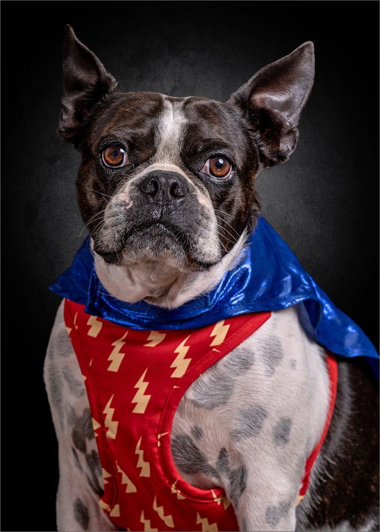 Superman - Cynthia Uren - Set Subject - 2nd Place