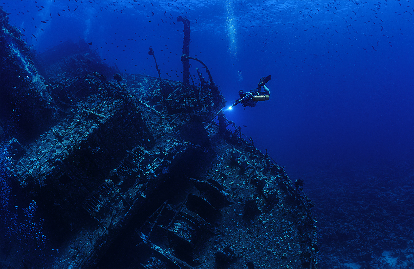 Inspecting the Giannis - Bryan Kimmel - Senior Winner