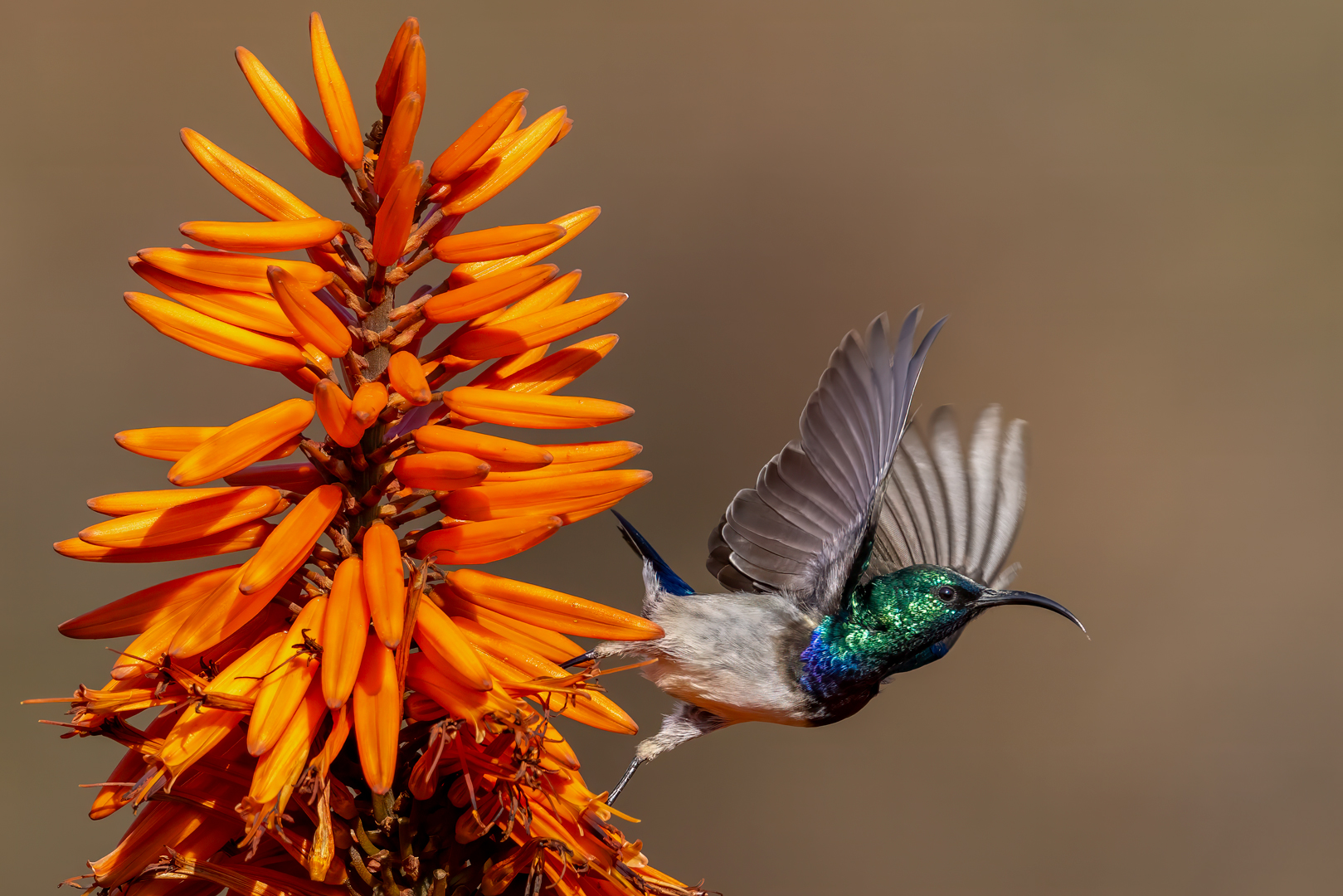 Departure Lounge 2 - David Woolf Stein - Primary Winner