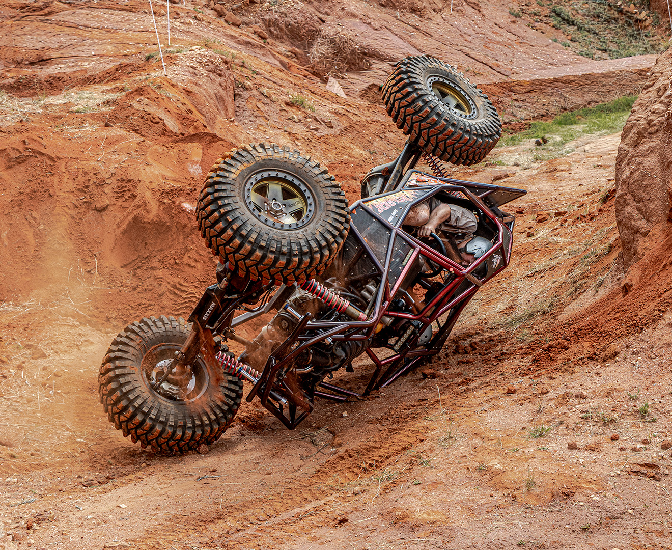 Oopsy Daisy - Junior Sport - Victor Sinevici