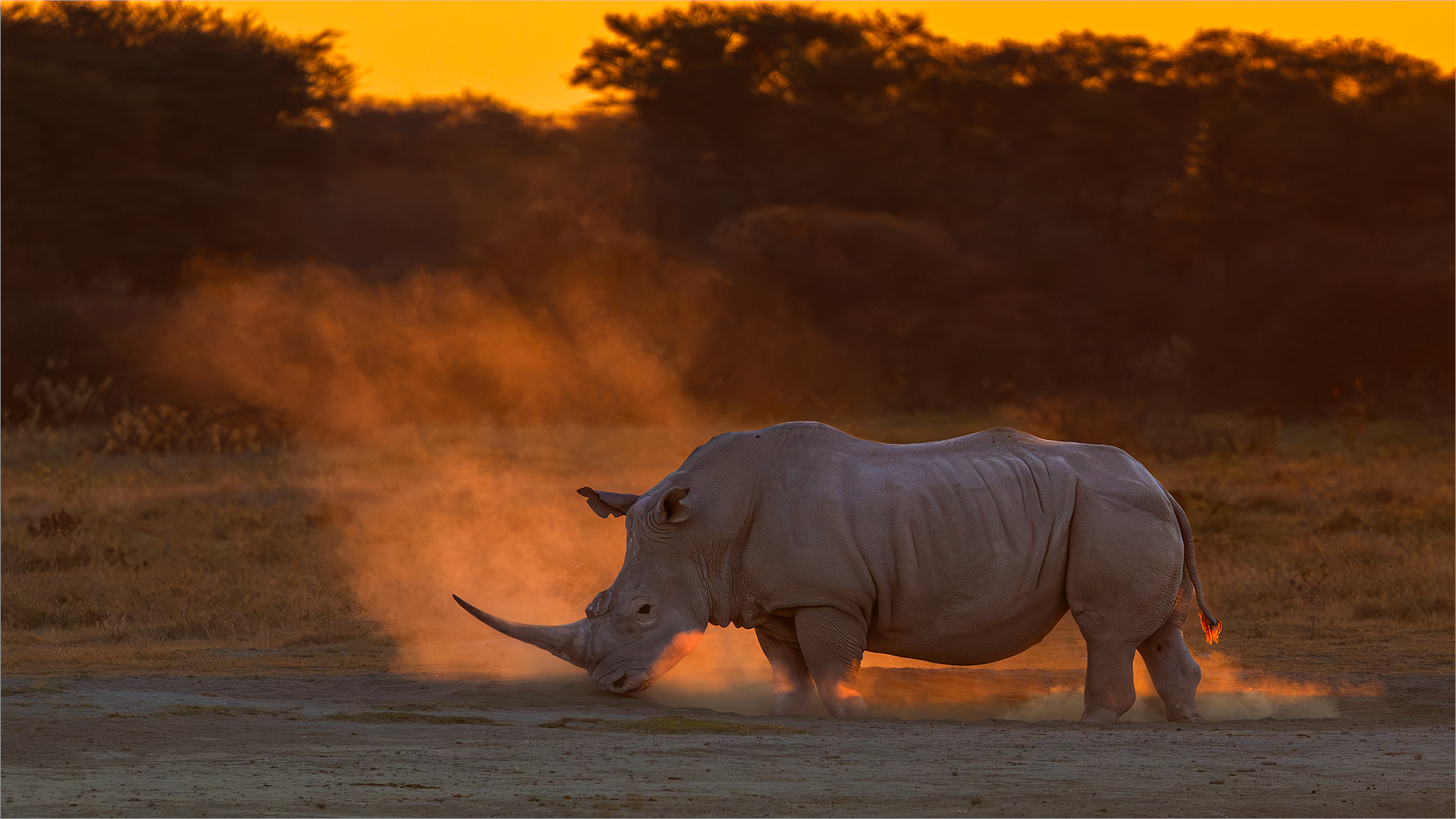 Out of the Dust - Belinda Ueckerman - Senior Winner